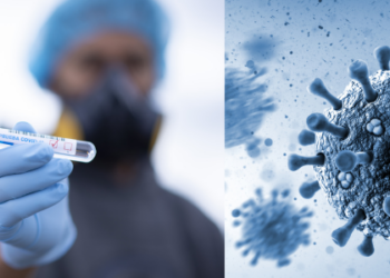 Centenas de amostras de vírus letais desaparecem em laboratório na Austrália
