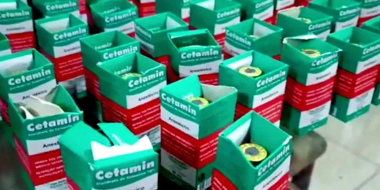 Cetamina: juiz britânico alerta para danos irreversíveis em usuários