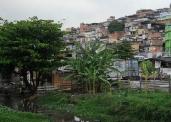 Estudo revela que variantes do coronavírus evoluíram na Maré e se espalharam globalmente