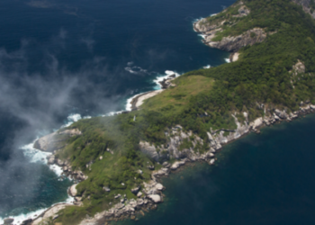 Ilha das Cobras: o território mais perigoso do Brasil onde humanos são proibidos