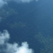 Petrobras e BNDES lançam programa de R$ 450 milhões para reflorestamento na Amazônia