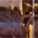 PF desvenda rede criminosa com festas em mansão de luxo, prostitutas e desvio de R$ 3,5 bilhões