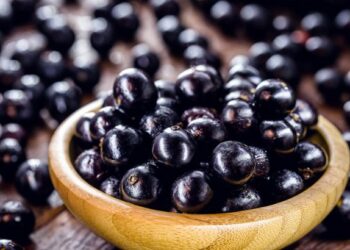 Casca de jabuticaba mostra efeitos promissores no combate a doenças metabólicas.