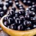 Casca de jabuticaba mostra efeitos promissores no combate a doenças metabólicas.