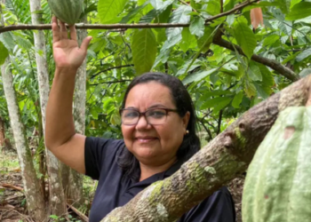 O avanço da bioeconomia na Amazônia atrai investimentos e fortalece a sustentabilidade na região Norte. Belém se prepara para a COP30 com centros de inovação e políticas públicas voltadas ao uso sustentável da floresta.
