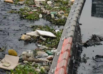 Despejo irregular de resíduos tóxicos ameaça biodiversidade, pesca, saúde pública e economia fluminense. Movimentos sociais e especialistas apontam ineficácia do poder público no enfrentamento do problema.