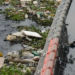 Despejo irregular de resíduos tóxicos ameaça biodiversidade, pesca, saúde pública e economia fluminense. Movimentos sociais e especialistas apontam ineficácia do poder público no enfrentamento do problema.