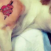 Tatuagens e piercings com finalidade estética em pets estão proibidos por lei. Norma prevê prisão de até 5 anos e perda da guarda do animal.