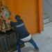 Alexandre de Moraes determina nova prisão de homem que destruiu relógio de Dom João VI em 8 de janeiro. Juiz mineiro que autorizou soltura será investigado por exceder sua competência.