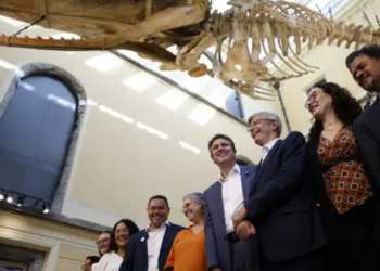 Após sete anos do incêndio, o Museu Nacional reabre parcialmente com a mostra “Entre Gigantes”. Destaques incluem o meteorito Bendegó e esqueleto de baleia de 16 metros. Entrada gratuita.