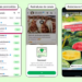 WhatsApp anuncia que vai exibir anúncios na aba "Atualizações" e liberar canais pagos com conteúdo exclusivo. Conversas continuam privadas, segundo a empresa.