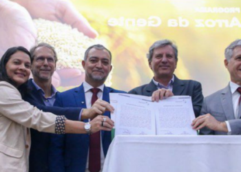 Com investimento inicial de R$ 17 milhões, o Programa Arroz da Gente foi relançado para fortalecer a produção de arroz pela agricultura familiar e ampliar a segurança alimentar no Brasil.