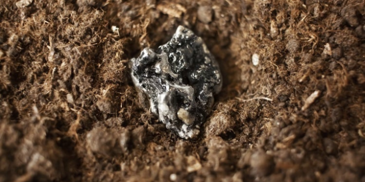 Protótipo brasileiro usa geogases para detectar terras raras sem perfurações profundas. Iniciativa promete reduzir custos e danos ambientais na mineração.