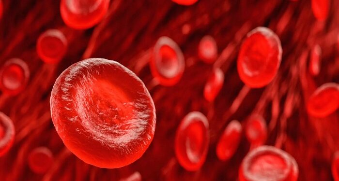 Cientistas franceses descobrem novo tipo sanguíneo raro, o “Gwada negativo”
