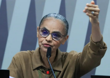 Ministra Marina Silva afirma que Brasil recuperou protagonismo ambiental com queda de 46% no desmatamento da Amazônia. País investe em combate a incêndios e incentiva agricultura sustentável.