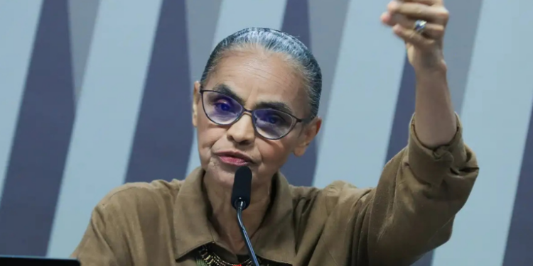 Ministra Marina Silva afirma que Brasil recuperou protagonismo ambiental com queda de 46% no desmatamento da Amazônia. País investe em combate a incêndios e incentiva agricultura sustentável.