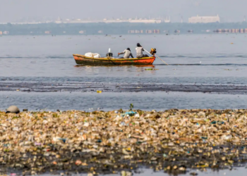 Pescadores e catadores retiram mais de 46 toneladas de lixo das baías de Guanabara e Sepetiba, no Rio de Janeiro, em ação da ONG Guardiões do Mar com apoio da Transpetro. Projeto alia limpeza ambiental e geração de renda para comunidades tradicionais.