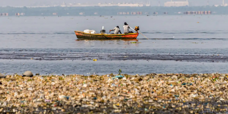 Pescadores e catadores retiram mais de 46 toneladas de lixo das baías de Guanabara e Sepetiba, no Rio de Janeiro, em ação da ONG Guardiões do Mar com apoio da Transpetro. Projeto alia limpeza ambiental e geração de renda para comunidades tradicionais.
