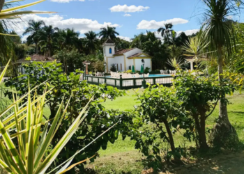A 20ª edição do Festival Vale do Café começa nesta sexta (18), com concertos gratuitos, homenagens e visita a fazendas históricas em cidades do sul do RJ. Veja programação.