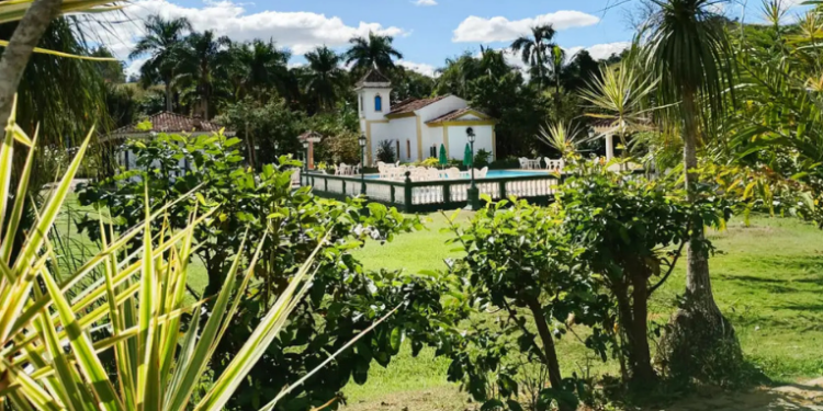 A 20ª edição do Festival Vale do Café começa nesta sexta (18), com concertos gratuitos, homenagens e visita a fazendas históricas em cidades do sul do RJ. Veja programação.
