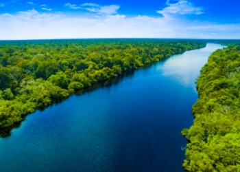 Organizações sociais entregam à presidência da COP30 proposta de financiamento climático para proteger a Amazônia e promover desenvolvimento sustentável. Documento pede ações urgentes.