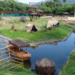 Após morte de nove galinhas-d'angola no BioParque, RJ monitora pessoas que tiveram contato com aves infectadas por gripe aviária. Não há casos em humanos.