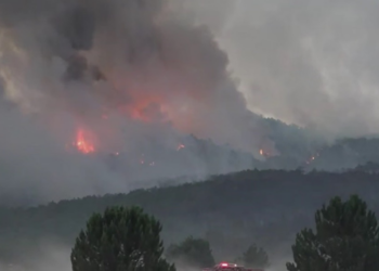 Incêndios florestais na Turquia já deixaram 10 mortos, entre eles cinco agentes do serviço florestal. Fogo se espalha por diversas regiões e preocupa autoridades.
