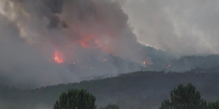 Incêndios florestais na Turquia já deixaram 10 mortos, entre eles cinco agentes do serviço florestal. Fogo se espalha por diversas regiões e preocupa autoridades.