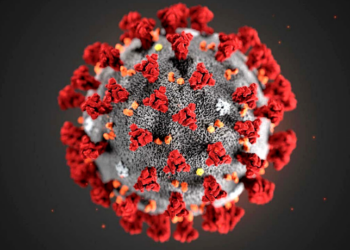 Fiocruz confirma circulação da nova variante XFG da covid-19 no Rio de Janeiro. A cepa representa 62% dos casos analisados e já foi detectada em outros três estados. OMS mantém alerta, mas risco é considerado baixo.