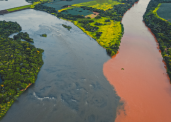 Quarenta cidades do Amazonas decretaram emergência devido às cheias. Mais de 530 mil pessoas foram afetadas e a previsão é de mais chuva. Governo federal já destinou R$ 17 milhões em ajuda.