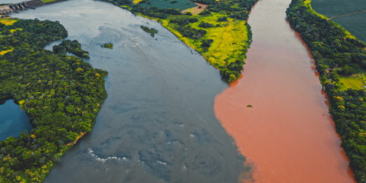 Quarenta cidades do Amazonas decretaram emergência devido às cheias. Mais de 530 mil pessoas foram afetadas e a previsão é de mais chuva. Governo federal já destinou R$ 17 milhões em ajuda.