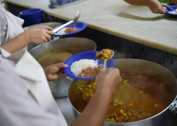 Relatório da FAO revela que o Brasil saiu novamente do Mapa da Fome. País está com menos de 2,5% da população em subnutrição, resultado de políticas sociais e combate à pobreza.