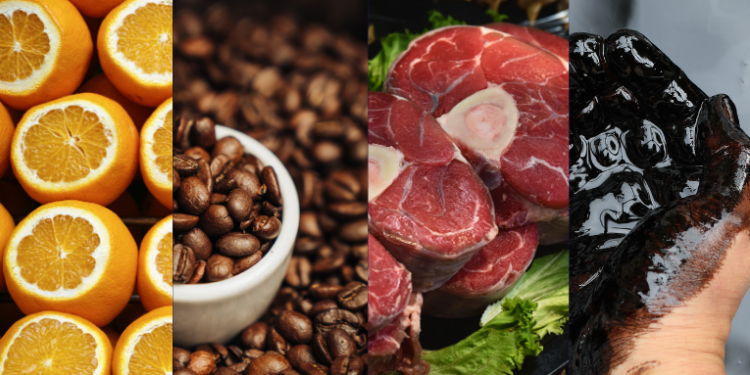 Tarifa de 50% imposta pelos EUA pode causar prejuízos bilionários ao Brasil. Café, carne, suco de laranja e máquinas estão entre os produtos mais afetados. Setores alertam para risco econômico.