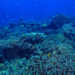Estudo revela que a combinação de três fenômenos climáticos extremos está se tornando frequente no Atlântico Sul e Equatorial, impactando ecossistemas marinhos, atividades pesqueiras e a segurança alimentar de milhões de pessoas.