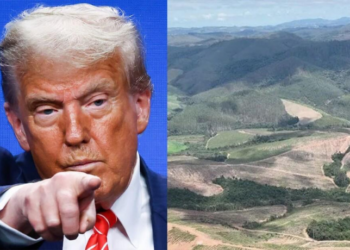 Com potencial para abastecer 20% da demanda global por terras raras, jazida em Minas Gerais atrai atenção dos EUA. Brasil quer transformar recurso em oportunidade industrial e estratégica.