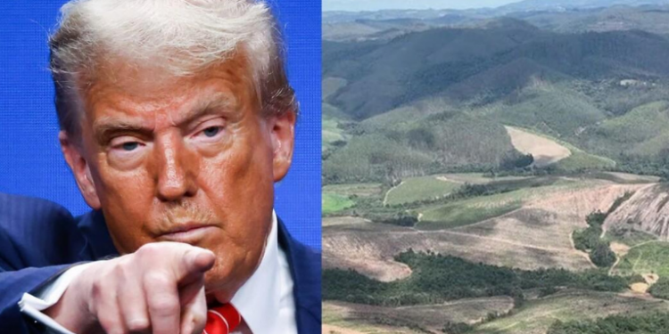 Com potencial para abastecer 20% da demanda global por terras raras, jazida em Minas Gerais atrai atenção dos EUA. Brasil quer transformar recurso em oportunidade industrial e estratégica.