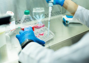 Pesquisadores japoneses usam tecnologia CRISPR-Cas9 para remover o cromossomo extra da síndrome de Down em células humanas. Descoberta representa marco para futuros avanços em genética médica.
