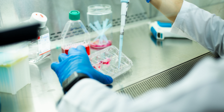 Pesquisadores japoneses usam tecnologia CRISPR-Cas9 para remover o cromossomo extra da síndrome de Down em células humanas. Descoberta representa marco para futuros avanços em genética médica.