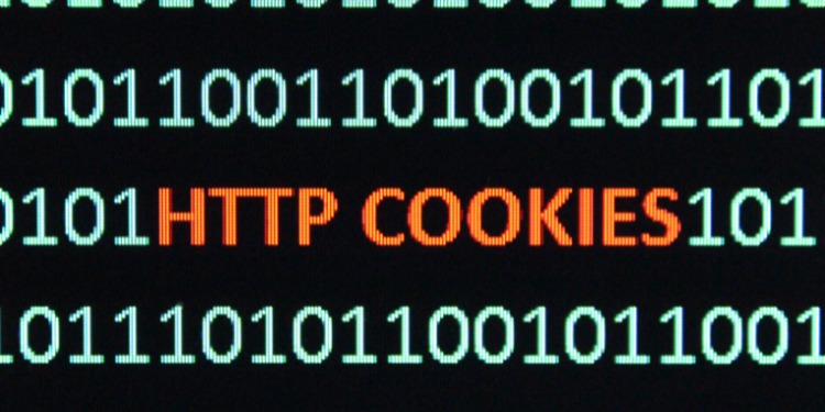 Nem todo cookie é inofensivo. Especialista em segurança digital explica por que você deve rejeitar cookies opcionais e como evitar o rastreamento online. Entenda os diferentes tipos e proteja sua privacidade.