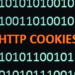 Nem todo cookie é inofensivo. Especialista em segurança digital explica por que você deve rejeitar cookies opcionais e como evitar o rastreamento online. Entenda os diferentes tipos e proteja sua privacidade.