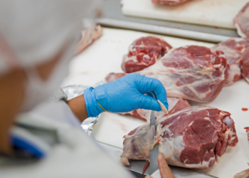 Brasil firma acordo para exportar carne bovina à Indonésia, ampliando presença no mercado asiático. Também foi liberada a venda de ovinos vivos para a Argélia.