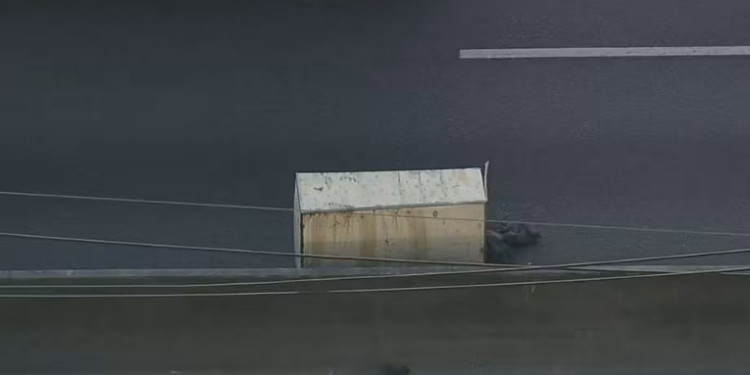 Um corpo foi encontrado dentro de uma caixa de madeira entre restos de lixo na Avenida Brasil, em Bonsucesso. Polícia investiga o caso e tenta identificar a vítima.
