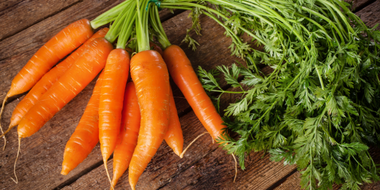 Um estudo recente mostra que o consumo elevado de carotenóides, encontrados na cenoura, pode aumentar em 60% o risco de disfunção erétil. Saiba mais sobre os alimentos envolvidos e opções que ajudam a prevenir o problema.