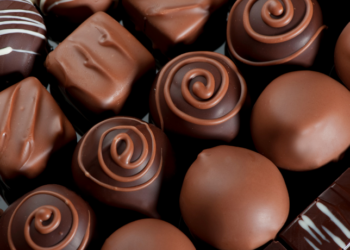 Um estudo revela como a combinação de bactérias e fungos na fermentação do cacau é crucial para criar o sabor perfeito do chocolate. Saiba como essa descoberta pode impactar a produção e o sabor de chocolates premium.