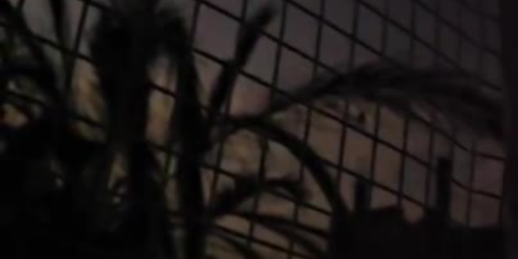 Ataque aéreo israelense em Gaza mata sete, incluindo cinco jornalistas da Al Jazeera. Mais de 230 profissionais de imprensa morreram desde outubro de 2023.