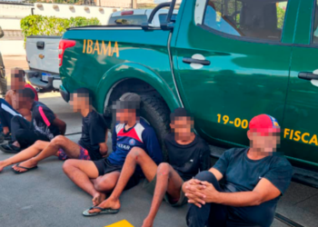 Ibama e Polícia Civil do Rio de Janeiro prendem oito pessoas na Feira de Duque de Caxias por crimes contra a fauna e maus-tratos a animais silvestres, apreendendo caranguejos, saguis, jacarés e filhote de jiboia.