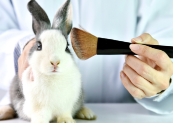 Com a proibição dos testes em animais no Brasil, marcas de cosméticos investem em pele humana 3D, órgãos-chips, organoides e simulações digitais. Conheça as novas tecnologias cruelty-free.