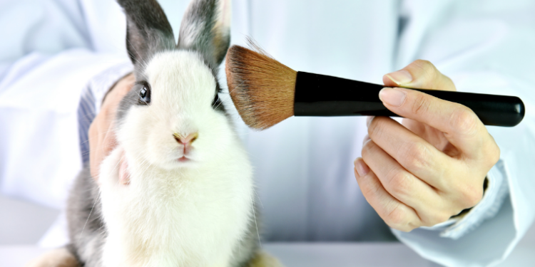 Com a proibição dos testes em animais no Brasil, marcas de cosméticos investem em pele humana 3D, órgãos-chips, organoides e simulações digitais. Conheça as novas tecnologias cruelty-free.