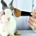 Com a proibição dos testes em animais no Brasil, marcas de cosméticos investem em pele humana 3D, órgãos-chips, organoides e simulações digitais. Conheça as novas tecnologias cruelty-free.