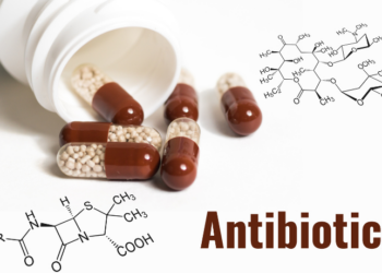 Com ajuda de inteligência artificial, cientistas descobriram novas moléculas antimicrobianas em arqueas, microrganismos primitivos. A descoberta pode levar à criação de antibióticos contra superbactérias resistentes.